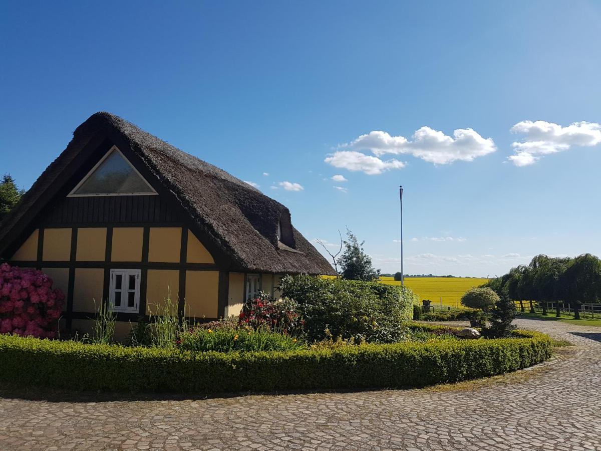 Zara'S B&B Horsens Bagian luar foto