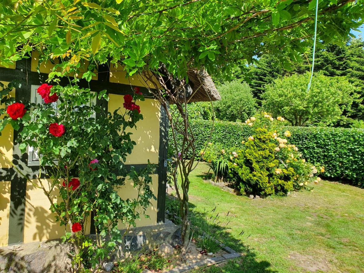 Zara'S B&B Horsens Bagian luar foto