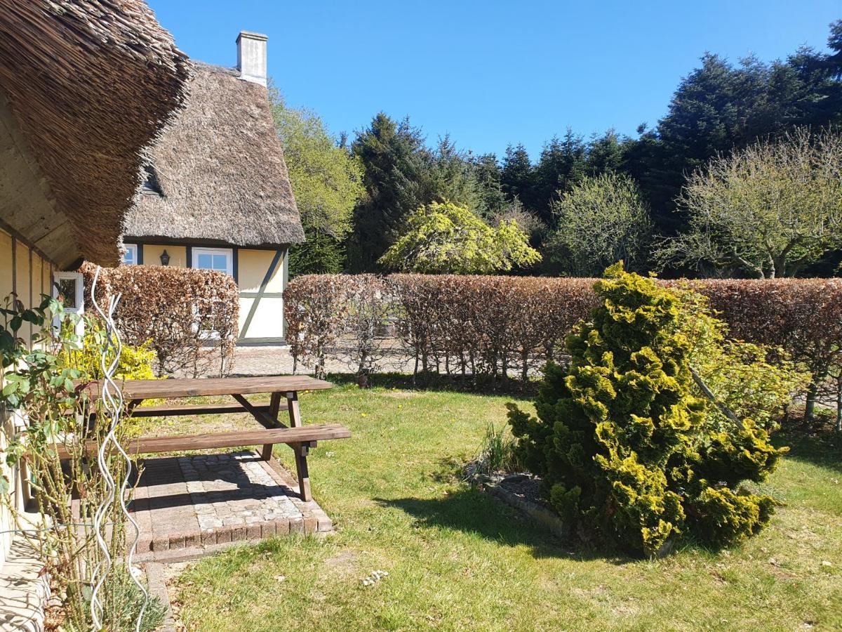 Zara'S B&B Horsens Bagian luar foto